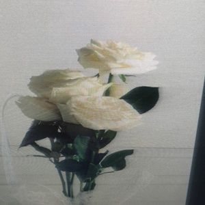 Meet your Posher, Gretchen